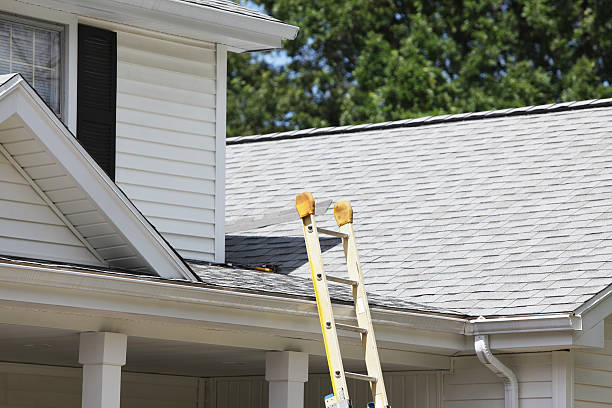 Best Storm Damage Siding Repair  in Northlake, SC